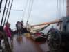 2011 Zeilen021_small.jpg